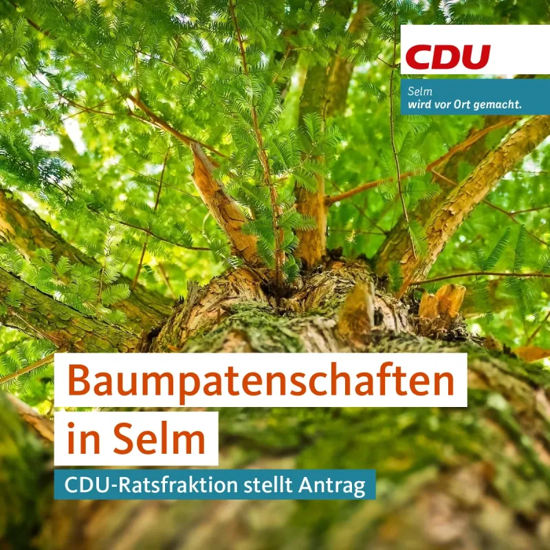 CDU stellt Antrag zu Baumpatenschaften